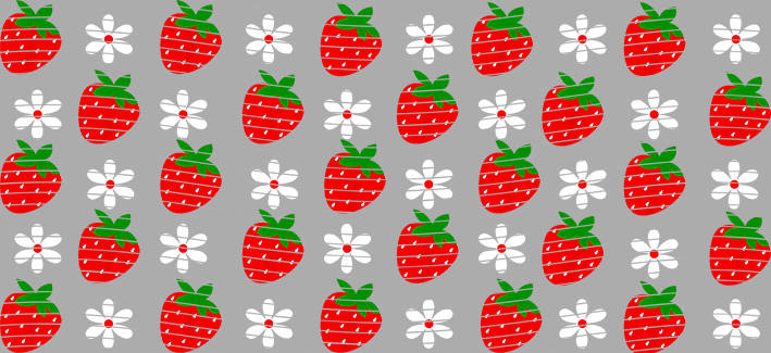 16oz delicacy-DE-186